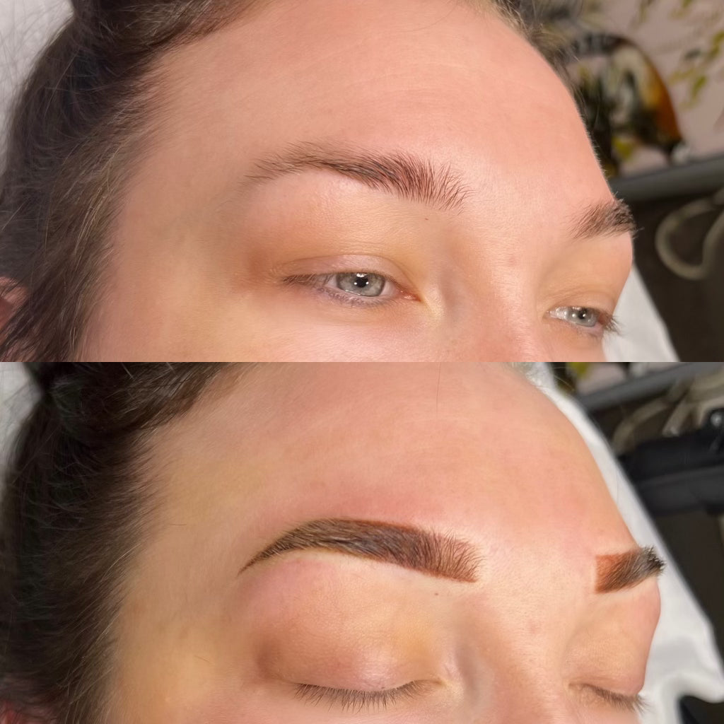 Ombre Brow Course